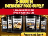06-30-22-09-21-50_Conversion_3-Month-300X250