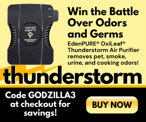 EdenPURE Thunderstorm Banner GODZILLA3 (300x250)